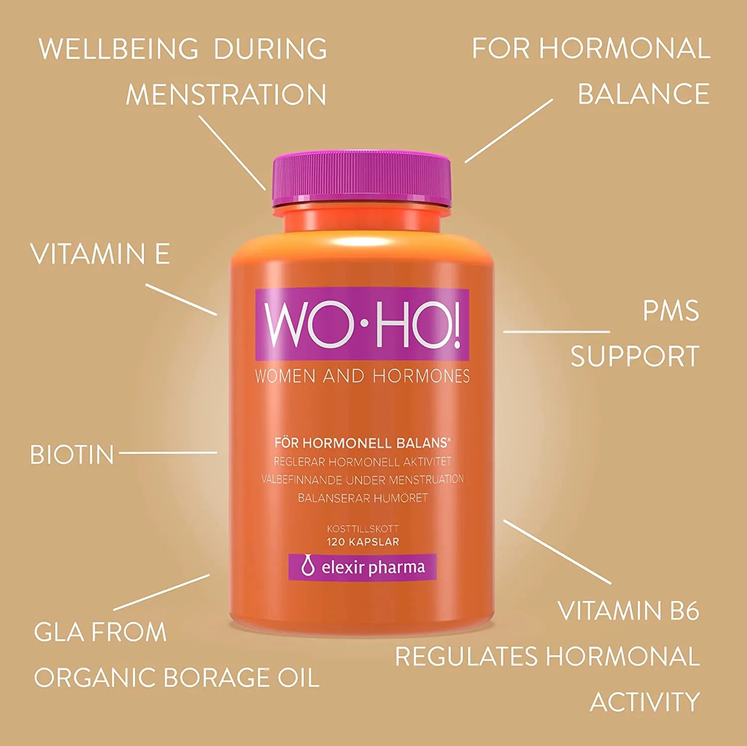 WO.HO-3.jpg