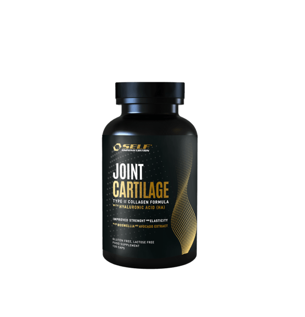 joint-cartilage-120caps-600×624-1.png