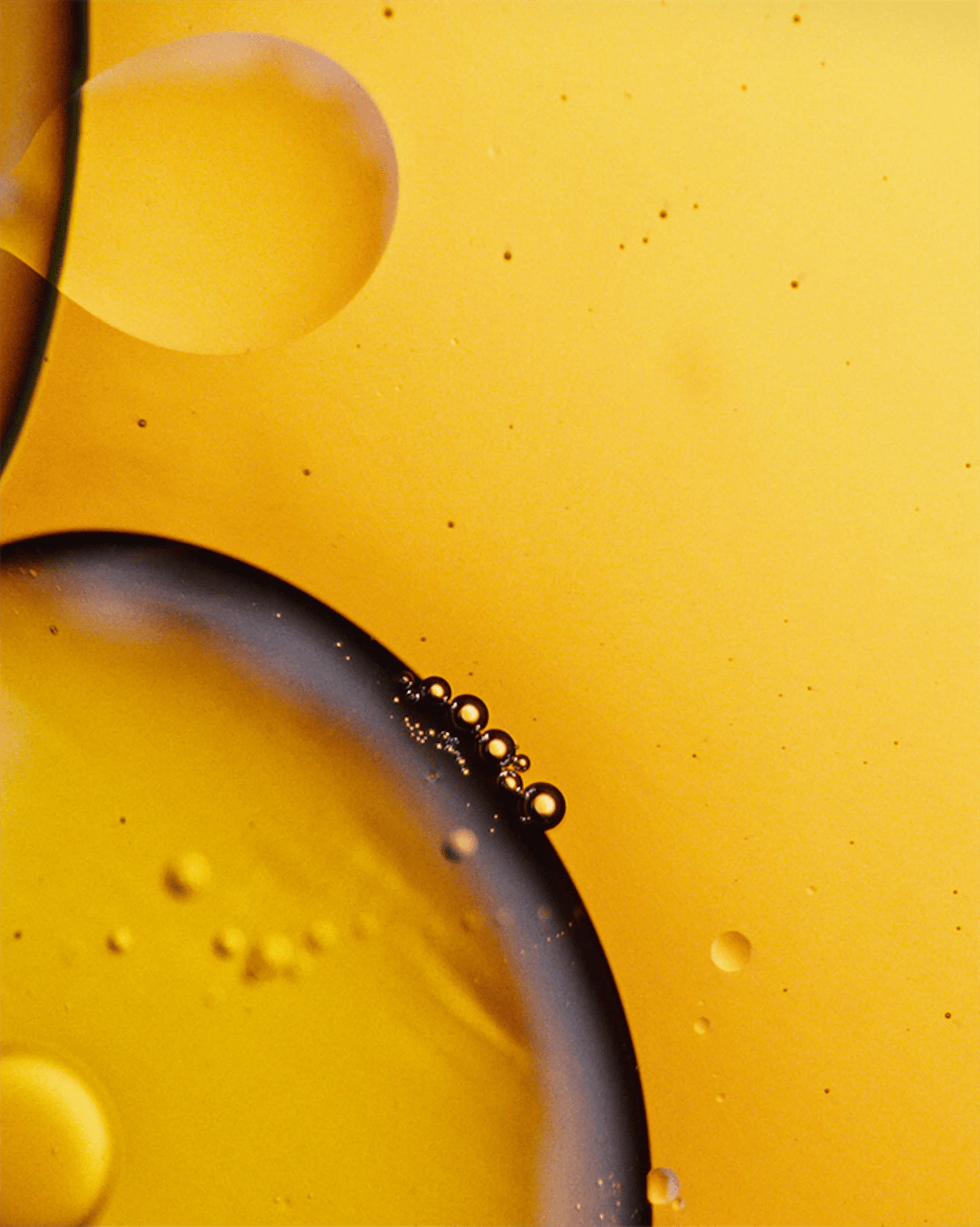 Holistic Brain Oil 60 Capsules — official image 4